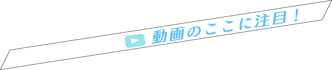 動画のここに注目!